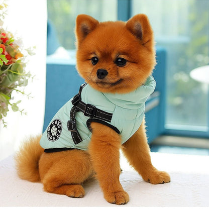 Vêtement chien | ThermoProtect™ - Jappy Toutou