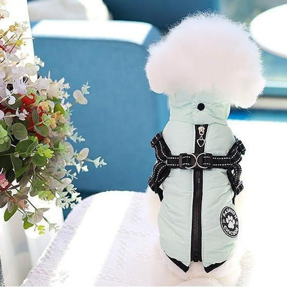 Vêtement chien | ThermoProtect™ - Jappy Toutou